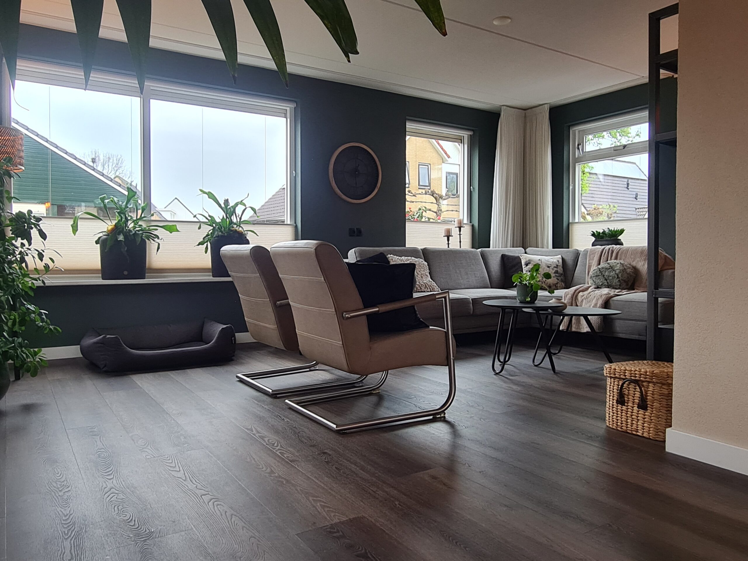 Maximale upgrade van bestaande inrichting in Schoonebeek