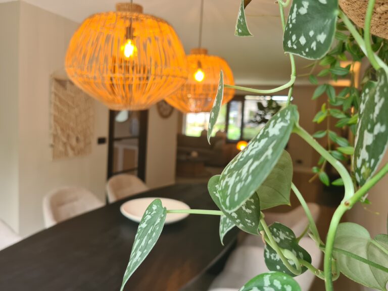 Sandra's Interieurstyling interieurontwerp